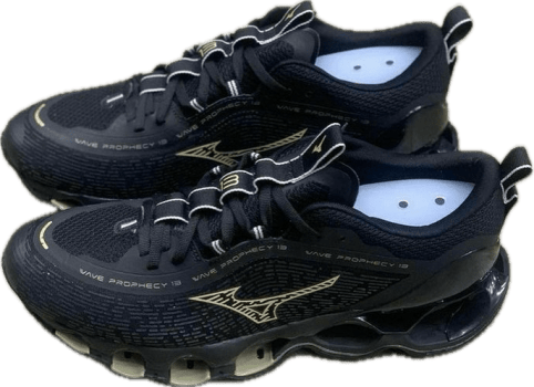 Tênis Mizuno Waze Prophecy 13 Unissex Premium